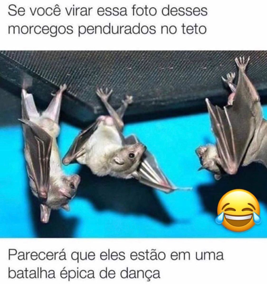 Gente, parece mesmo!