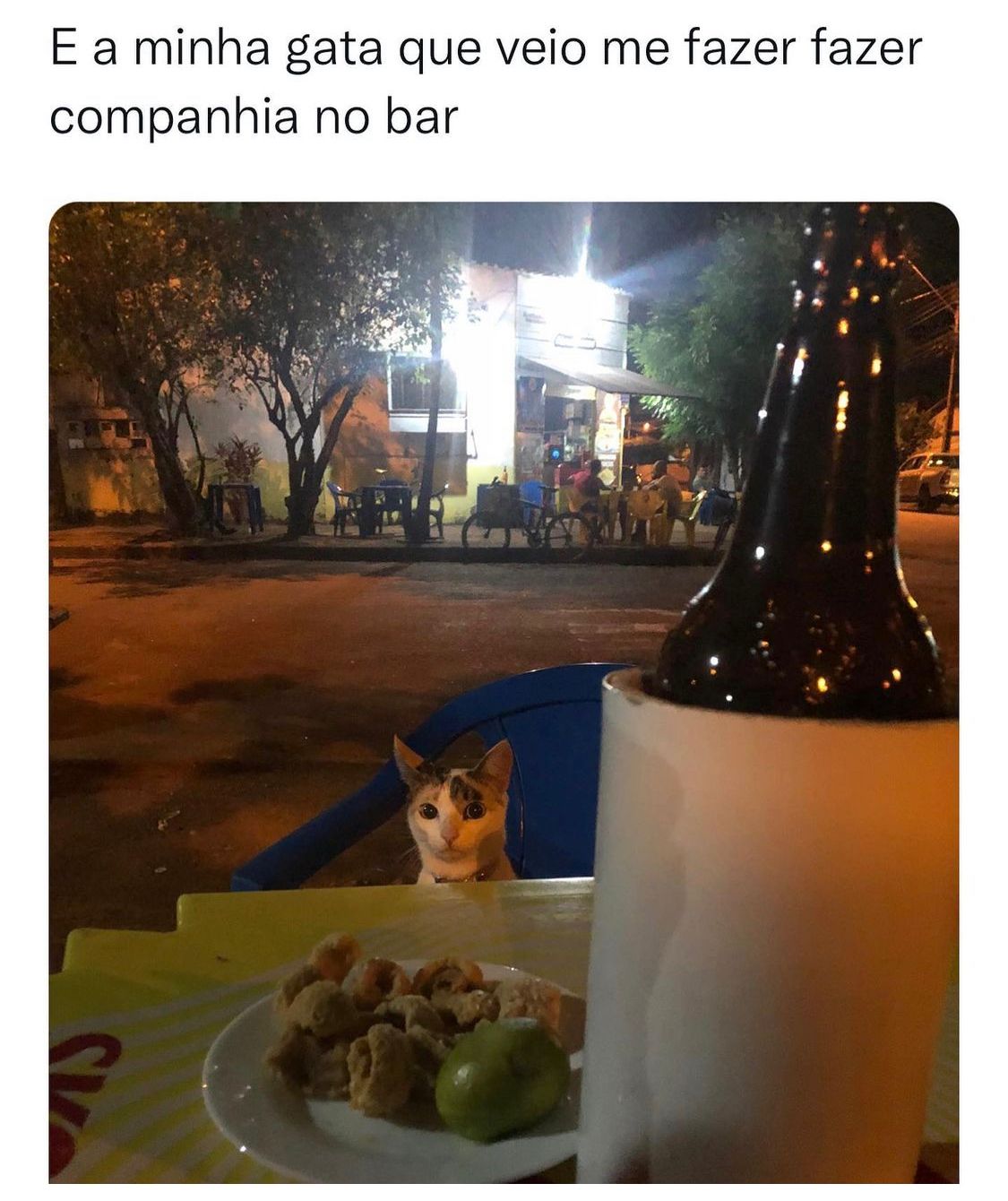Simplesmente melhor gata