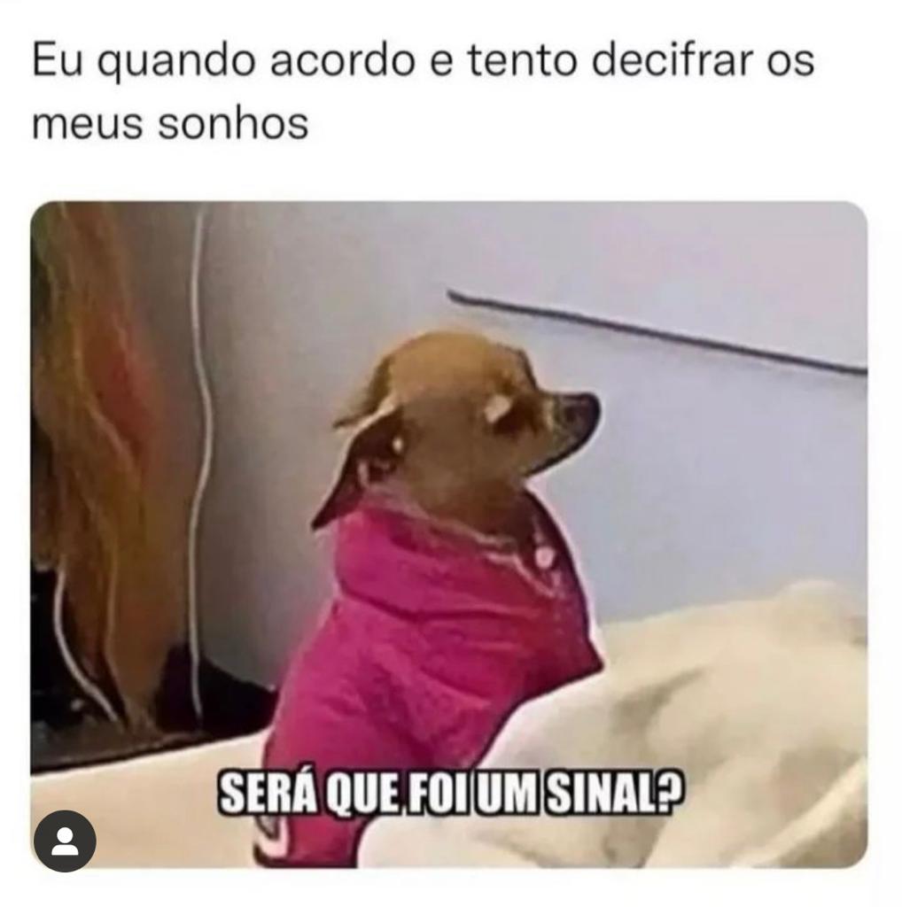Eu tentando decifrar meus sonhos