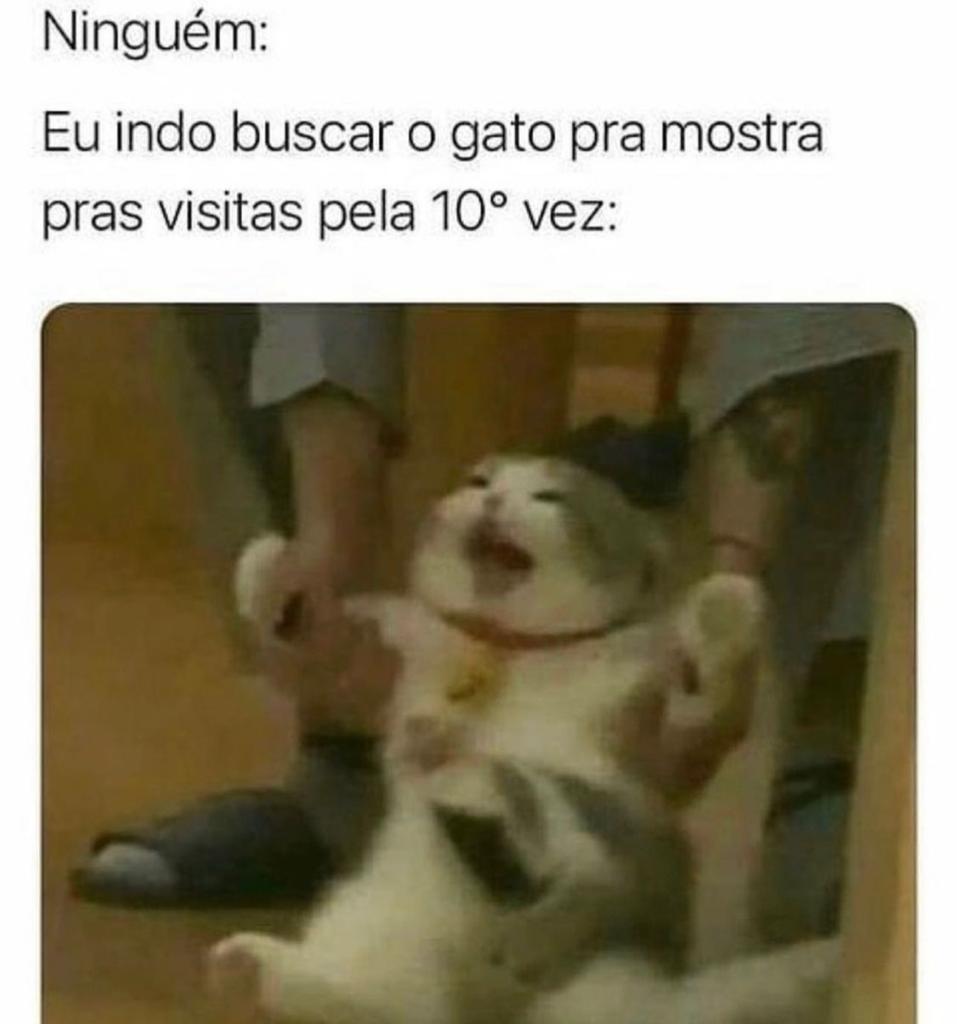 Eu sendo pai de gato