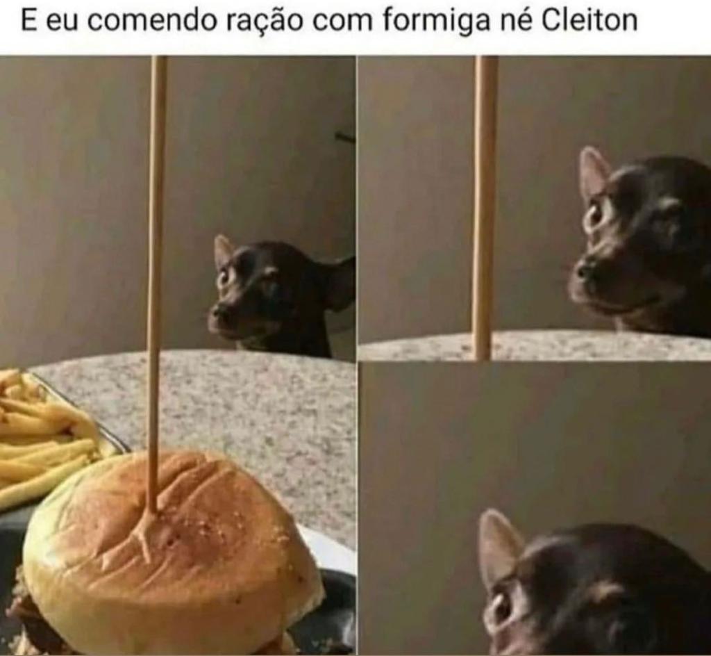 E eu comendo ração com formiga