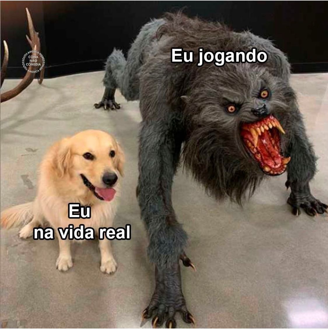 Eu jogando vs. na vida real