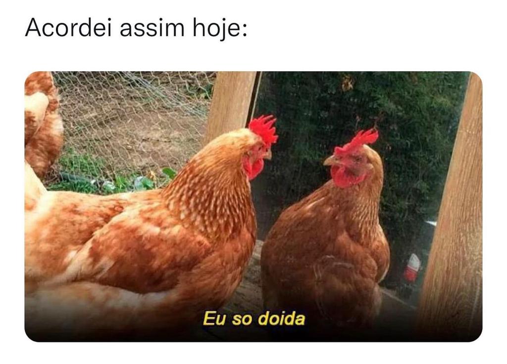 Acordei assim hoje