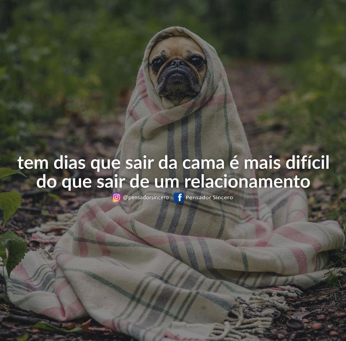 Hoje é um desses dias