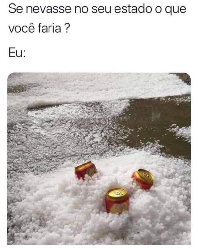 O que vc faria se nevasse no seu estado?