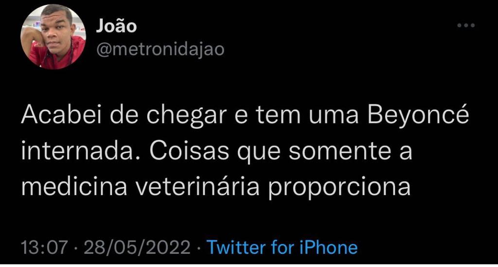Coisas que só a veterinária oferece