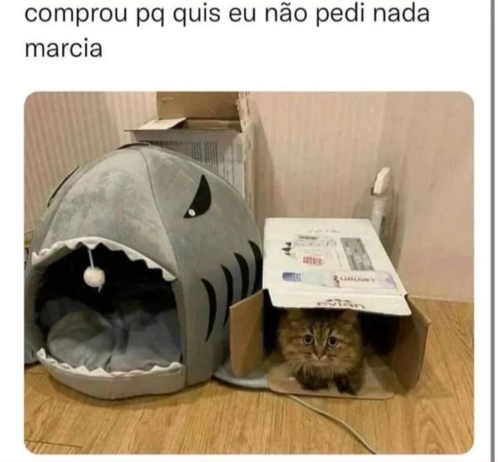 Comprou pq quis, Márcia
