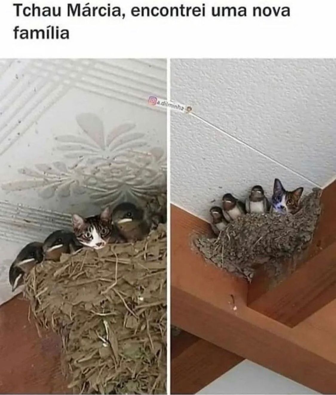 Encontrei uma nova família, Márcia