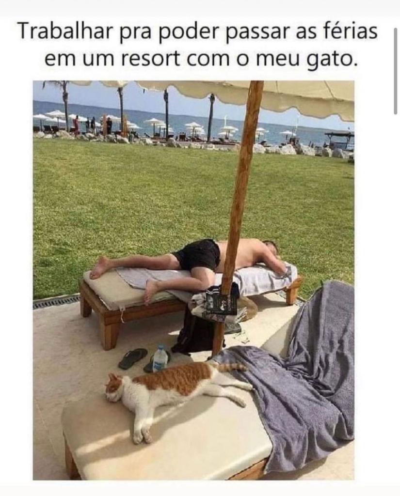 Minha meta de vida