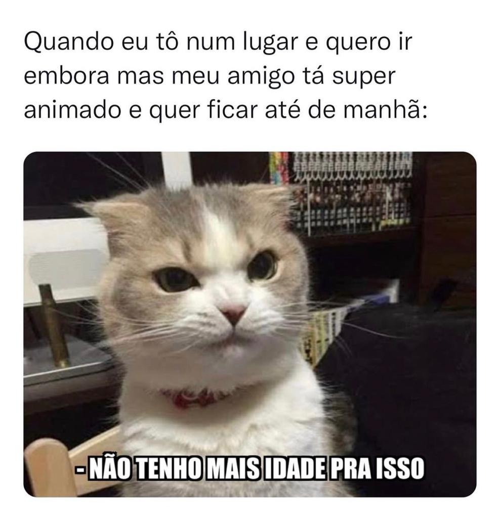 Não tenho mais idade pra isso