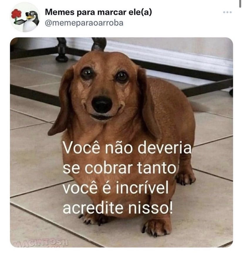 Motivação do dia