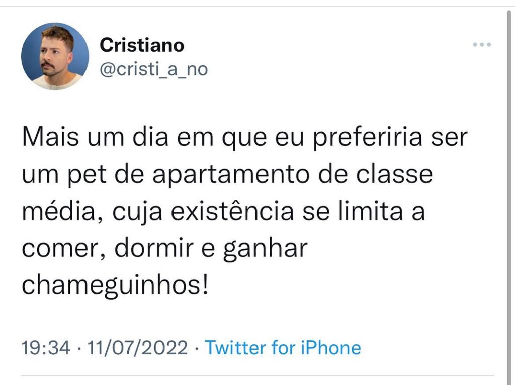 Mais um dia que eu queria ser um pet