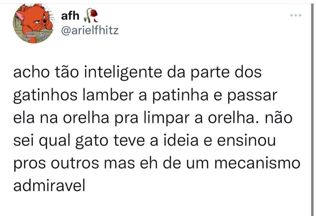 Inteligentes demais