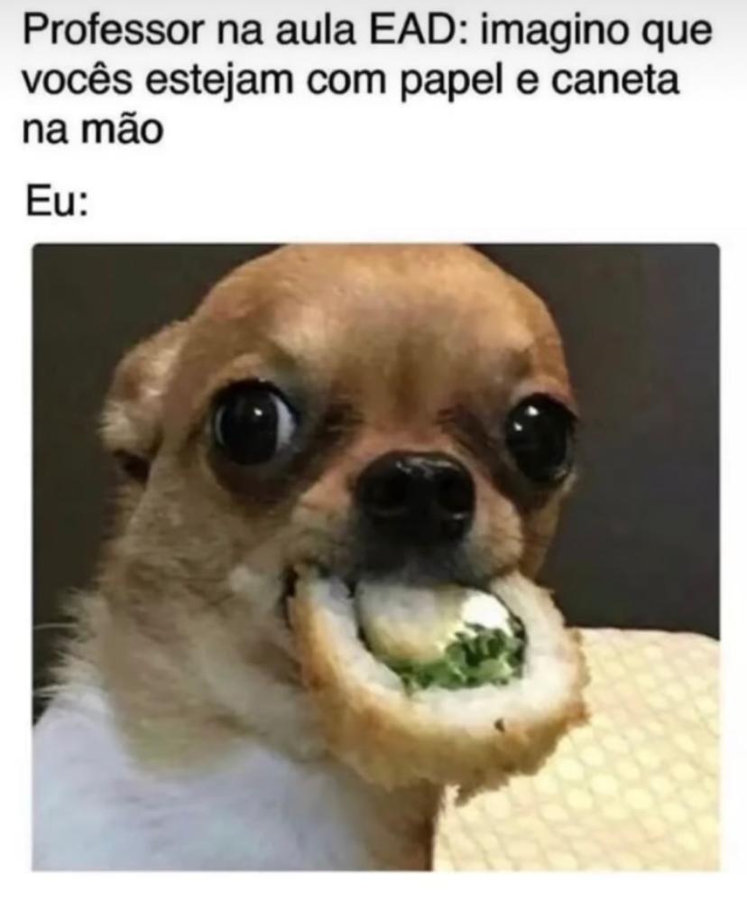 Eu no EAD