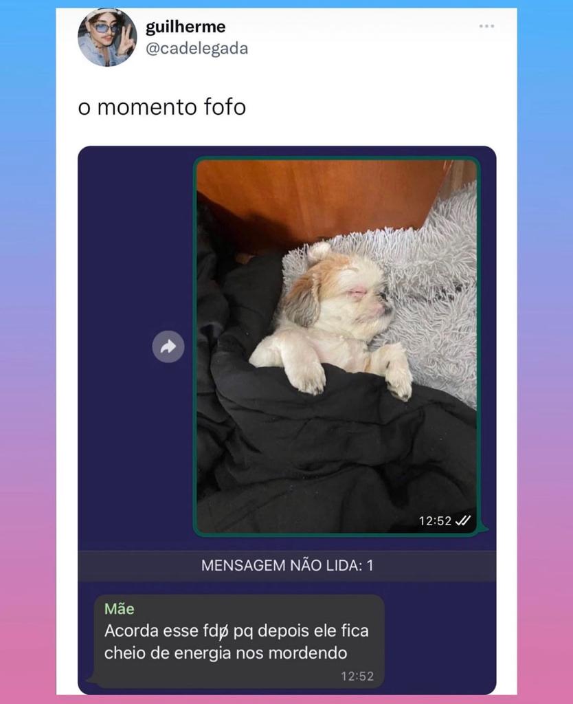 O momento fofo