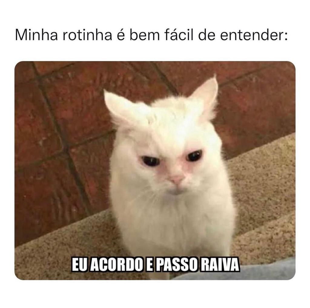 Bem fácil minha rotina