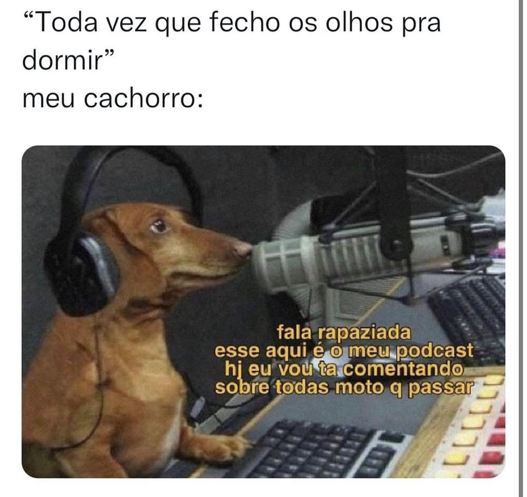 Cachorro de quem?