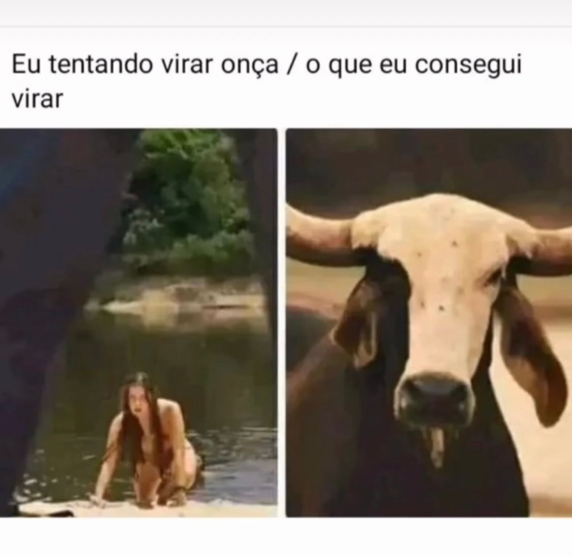 O que eu consegui virar