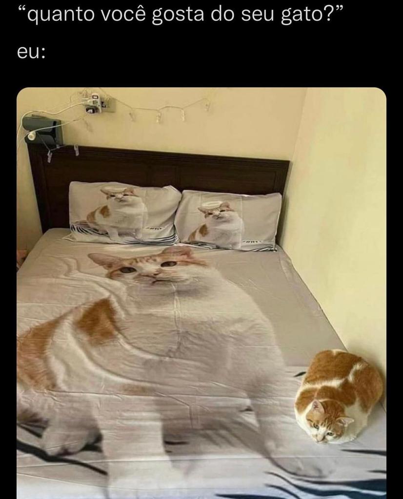 O quanto eu gosto do meu gato?
