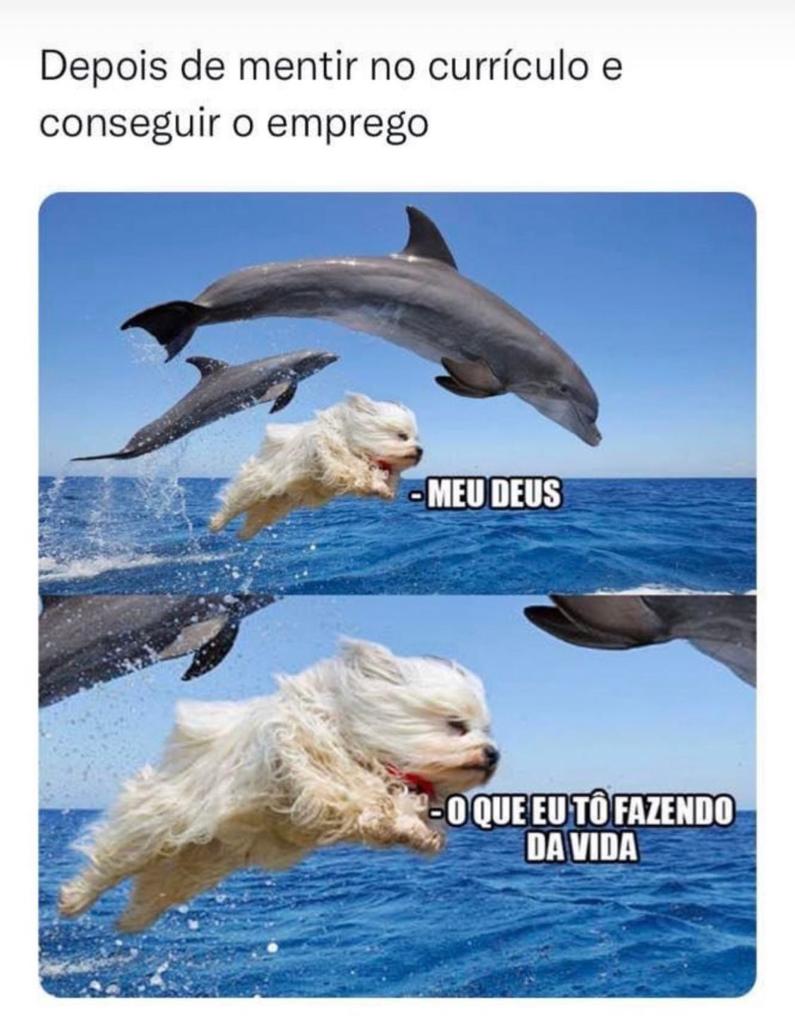 O que eu tô fazendo da minha vida?