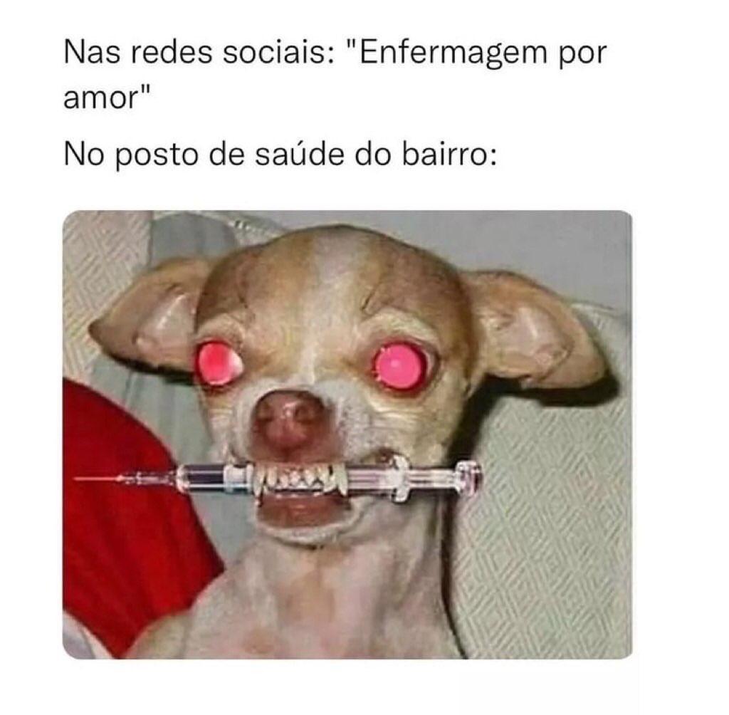 Amor à quê?