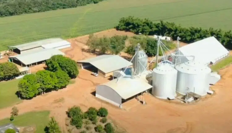 Fazenda do Gusttavo