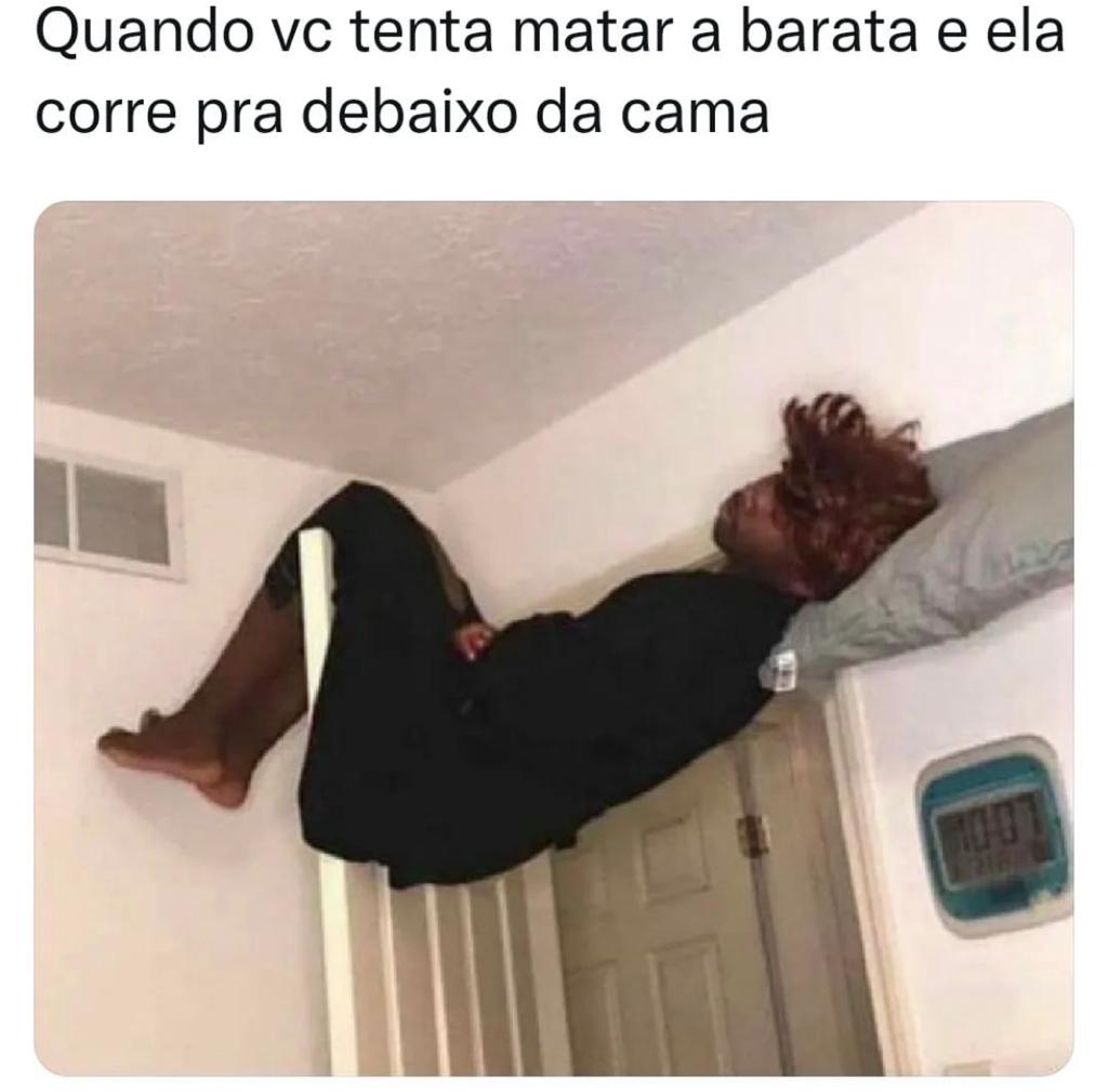Eu Quando Vejo Uma Barata Perrengue Mato Grosso