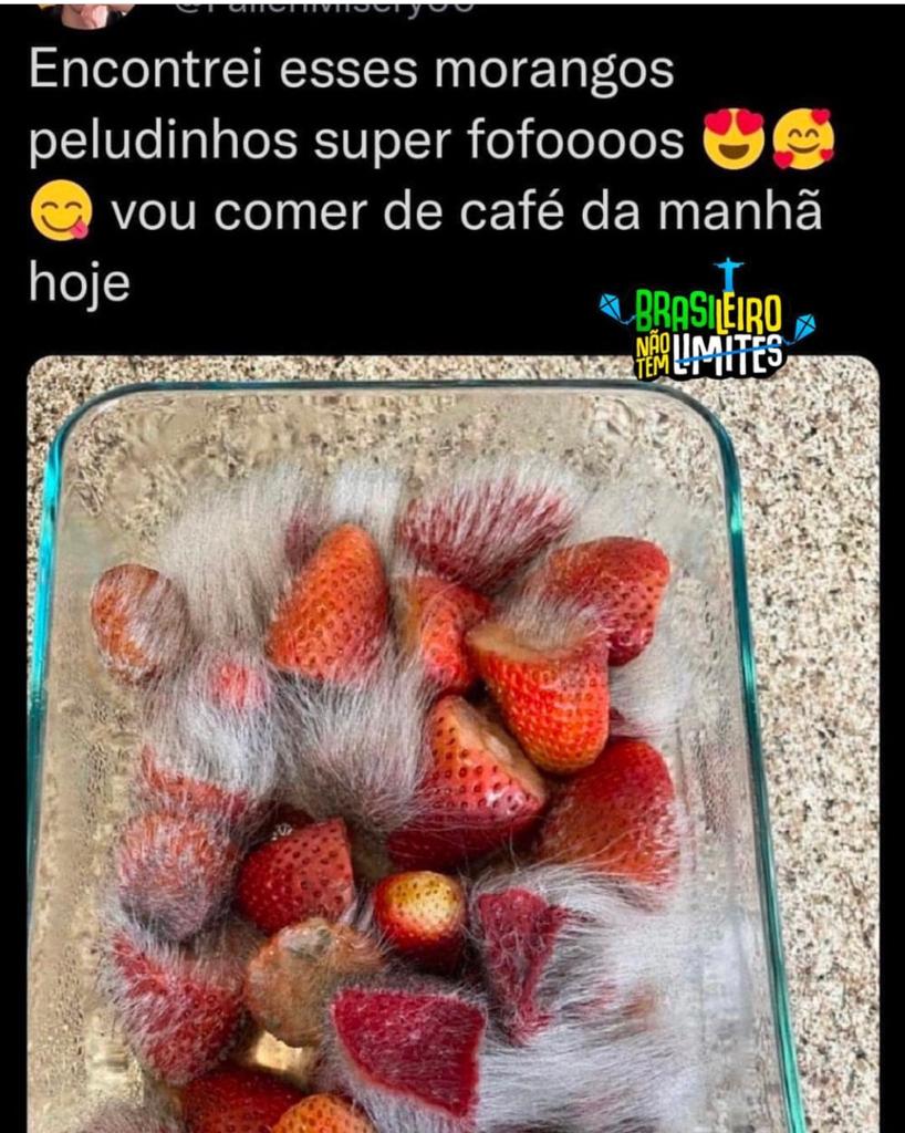 FOFISSIMOS