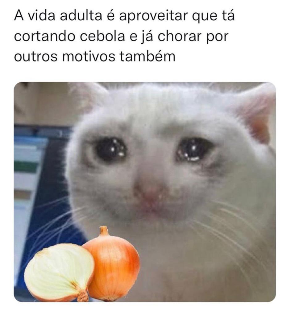A vida adulta