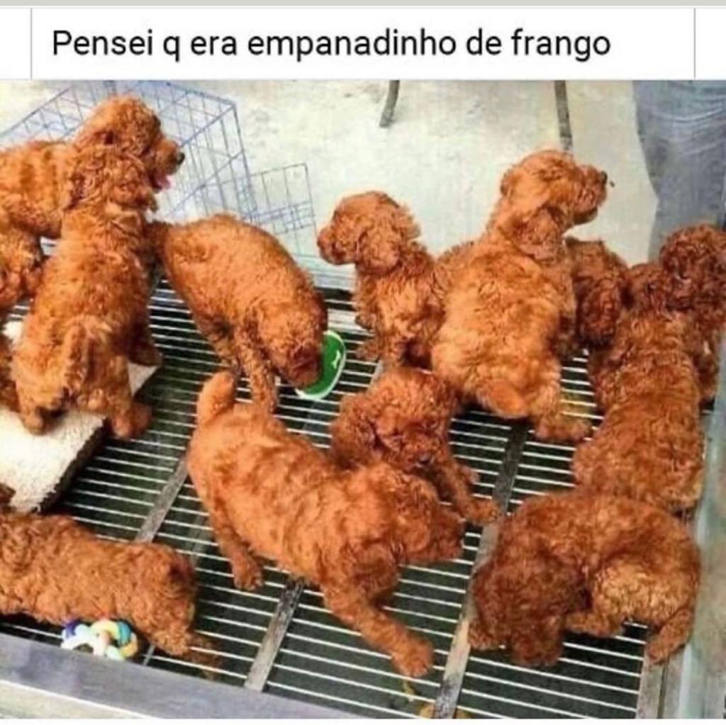 Franguinho empanado na grelha