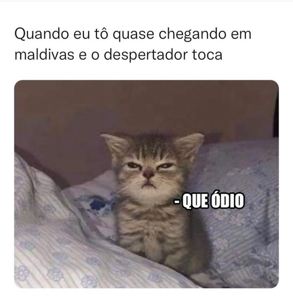 Ódio genuíno