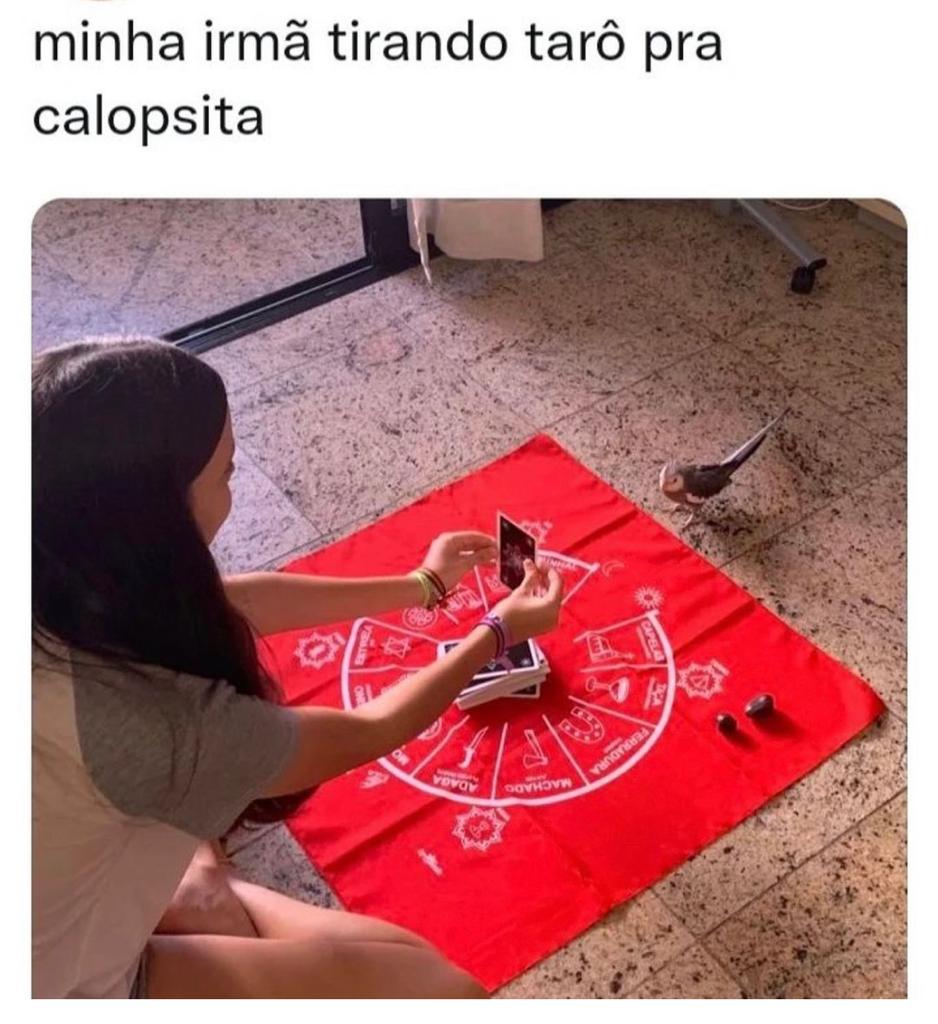 Vejo muitos voos em sua vida.