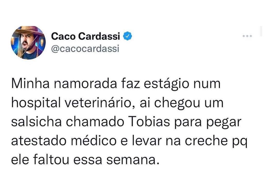 Atestado pro cachorro levar pra creche, já viu isso?