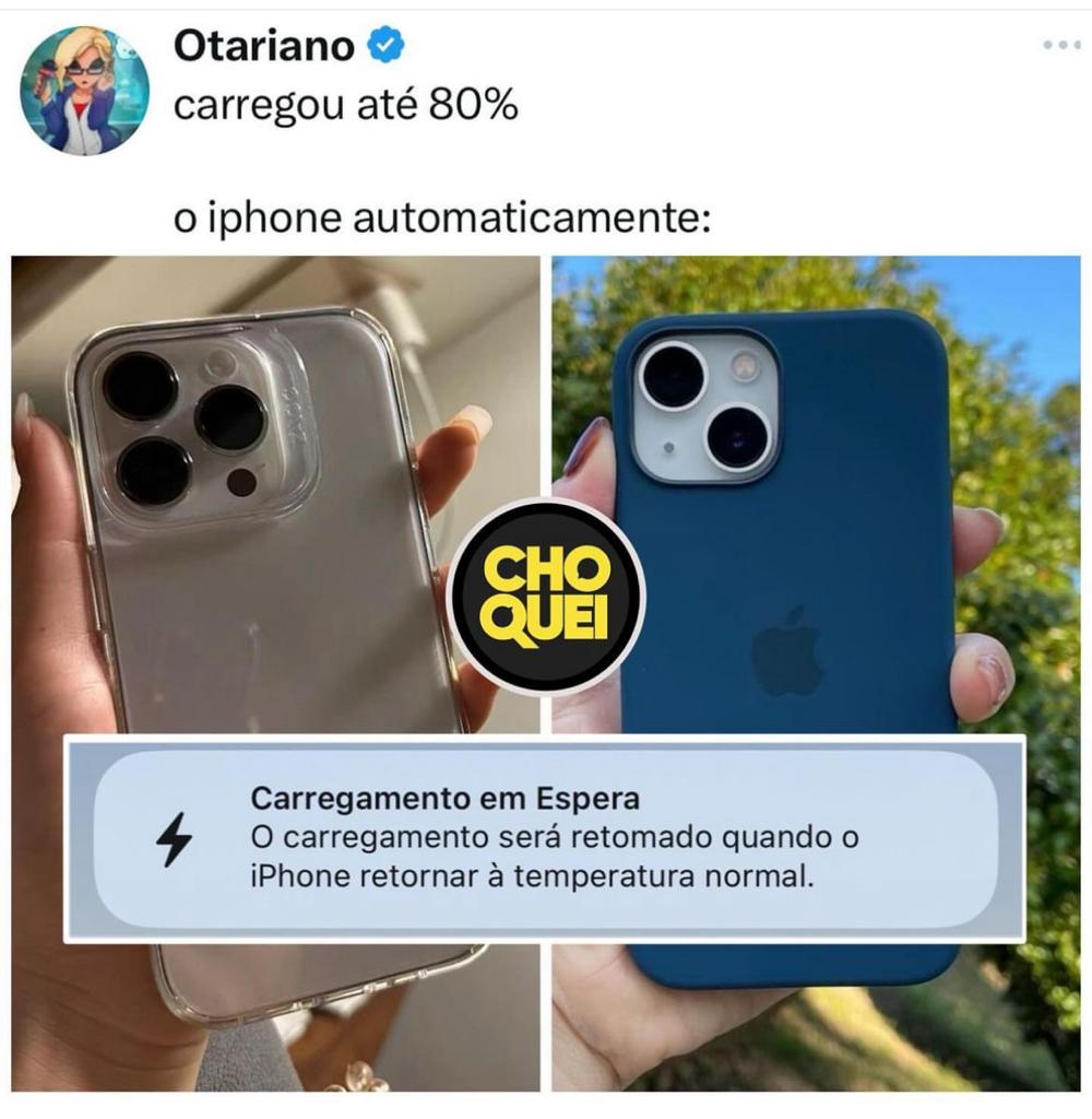 Perrengue Mato Grosso