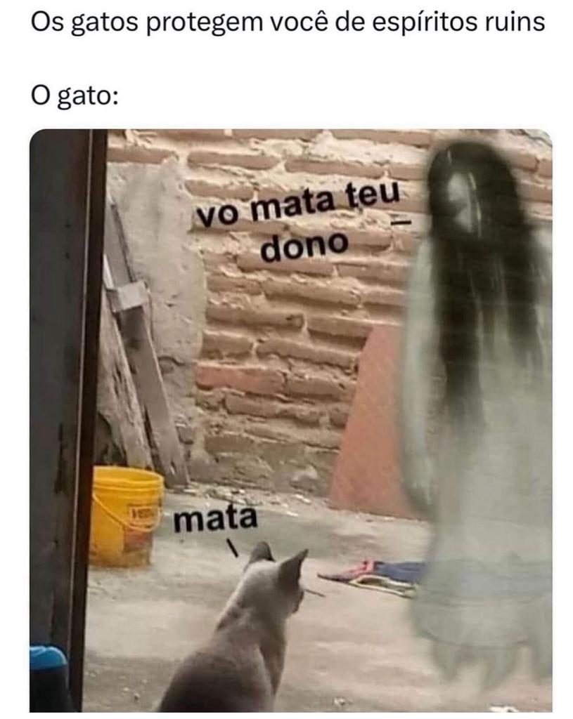 Perrengue Mato Grosso