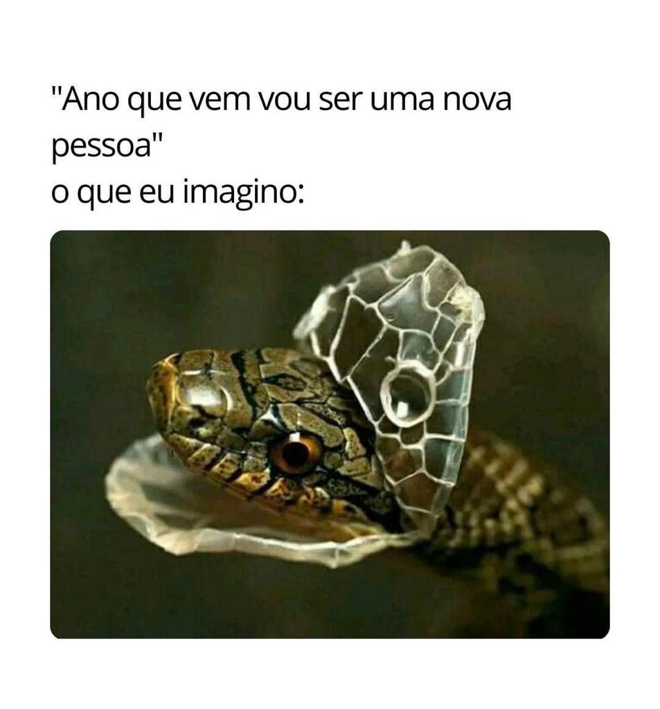 Perrengue Mato Grosso