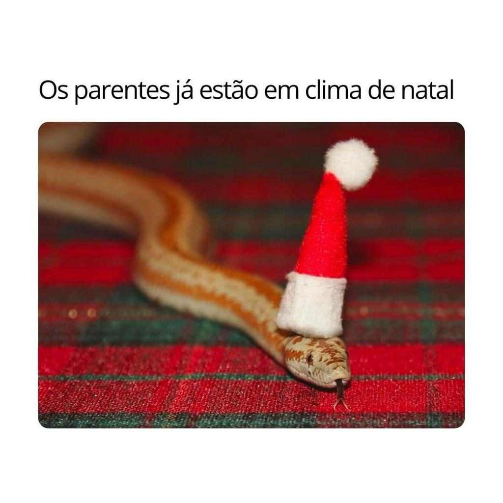 Perrengue Mato Grosso