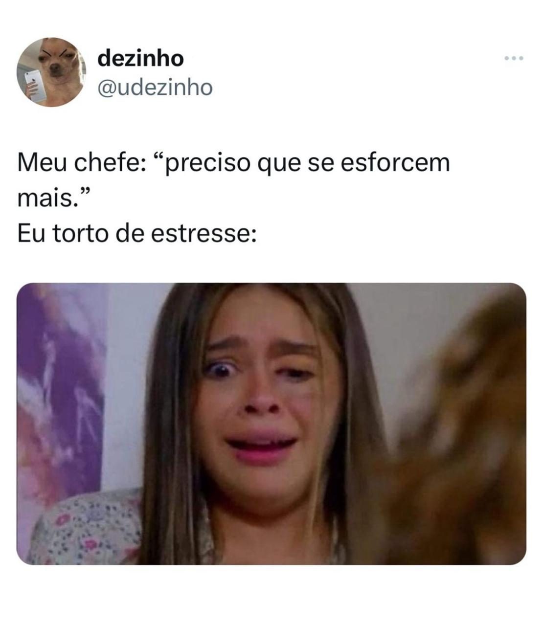 Perrengue Mato Grosso