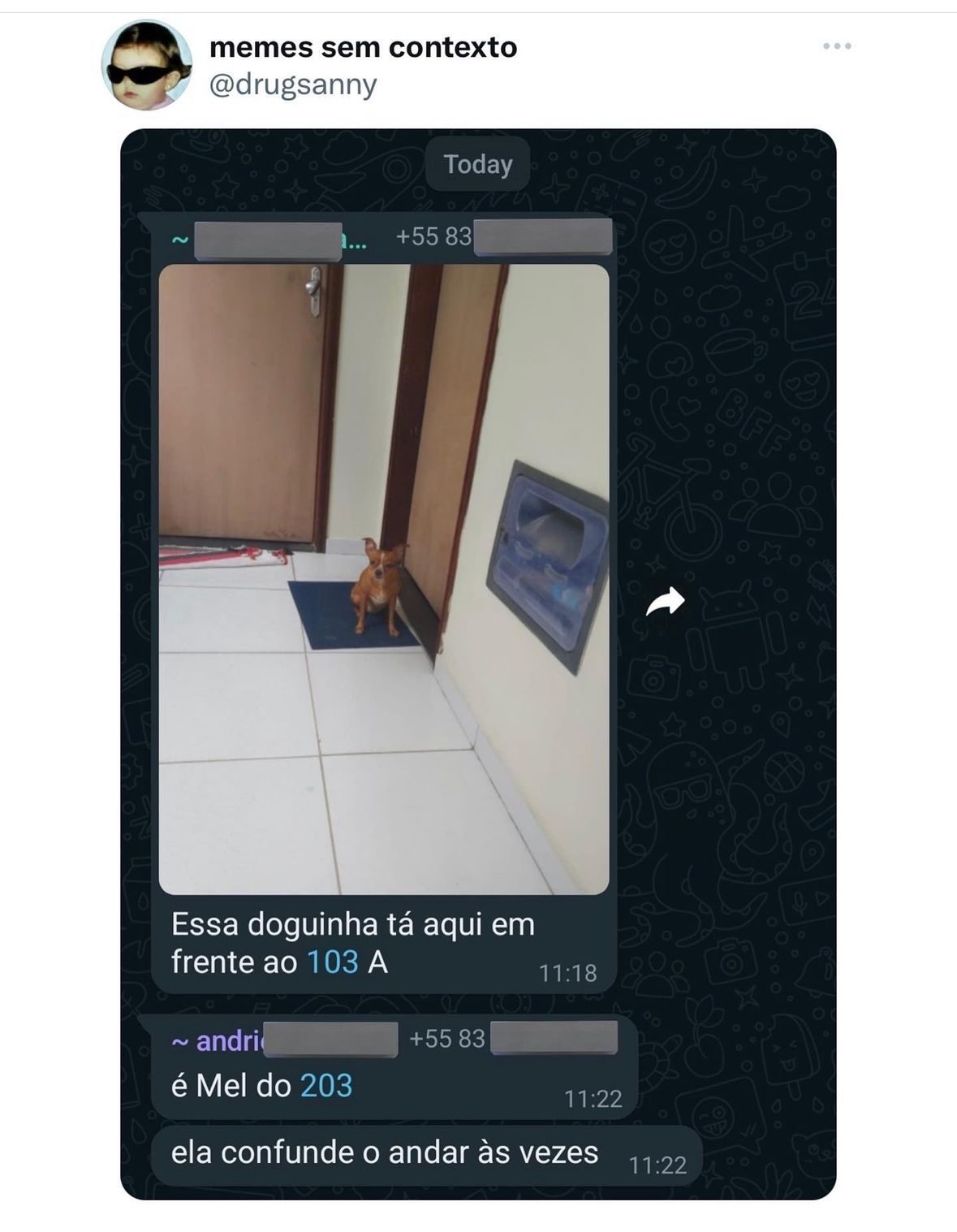 Perrengue Mato Grosso