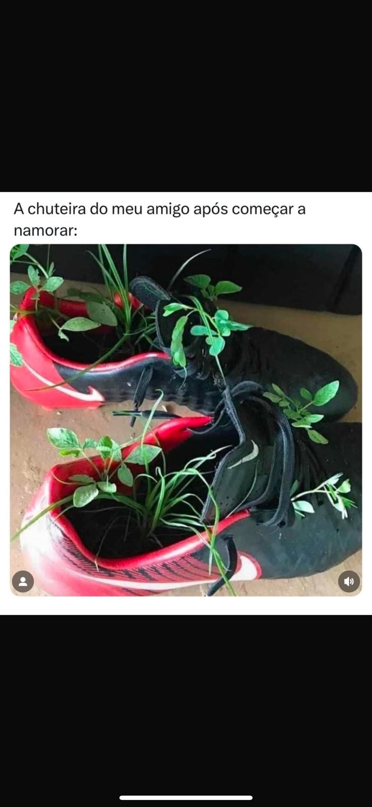 memes do vovô