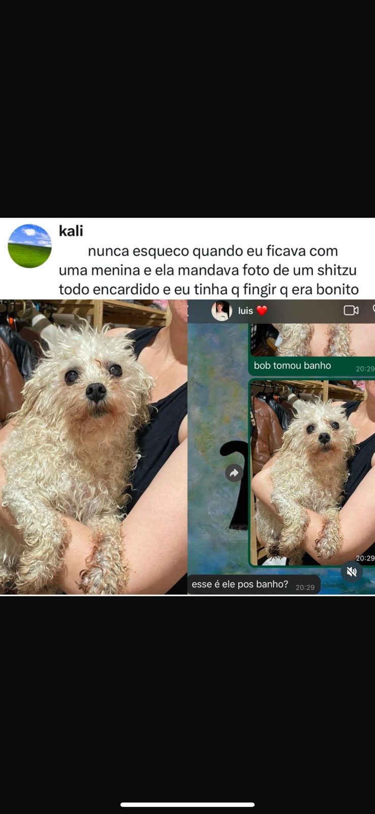 memes do vovô
