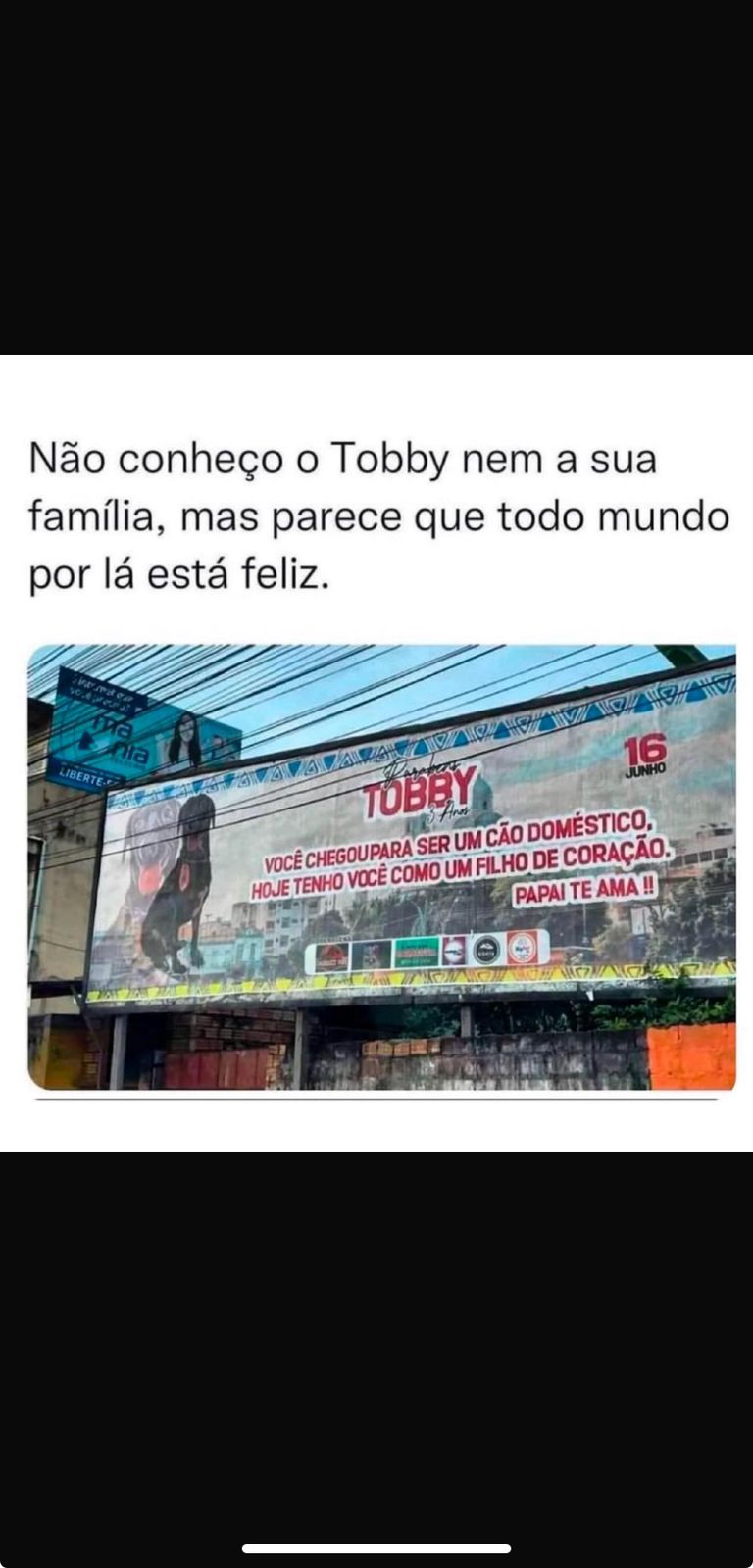 Memes do vovô
