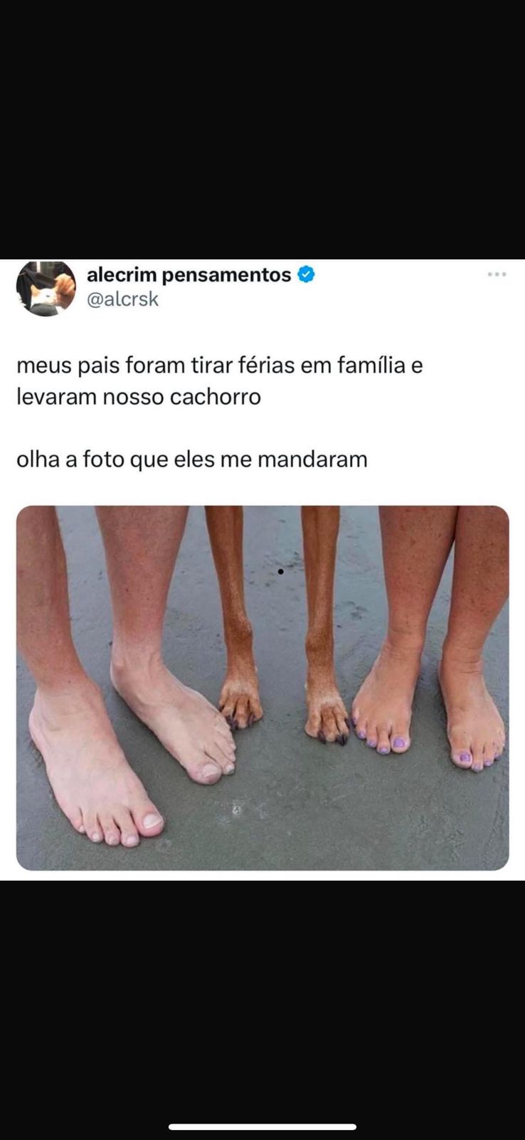 memes do vovô