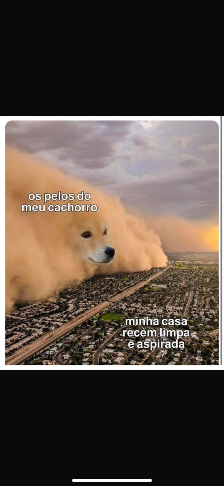 memes do vovô