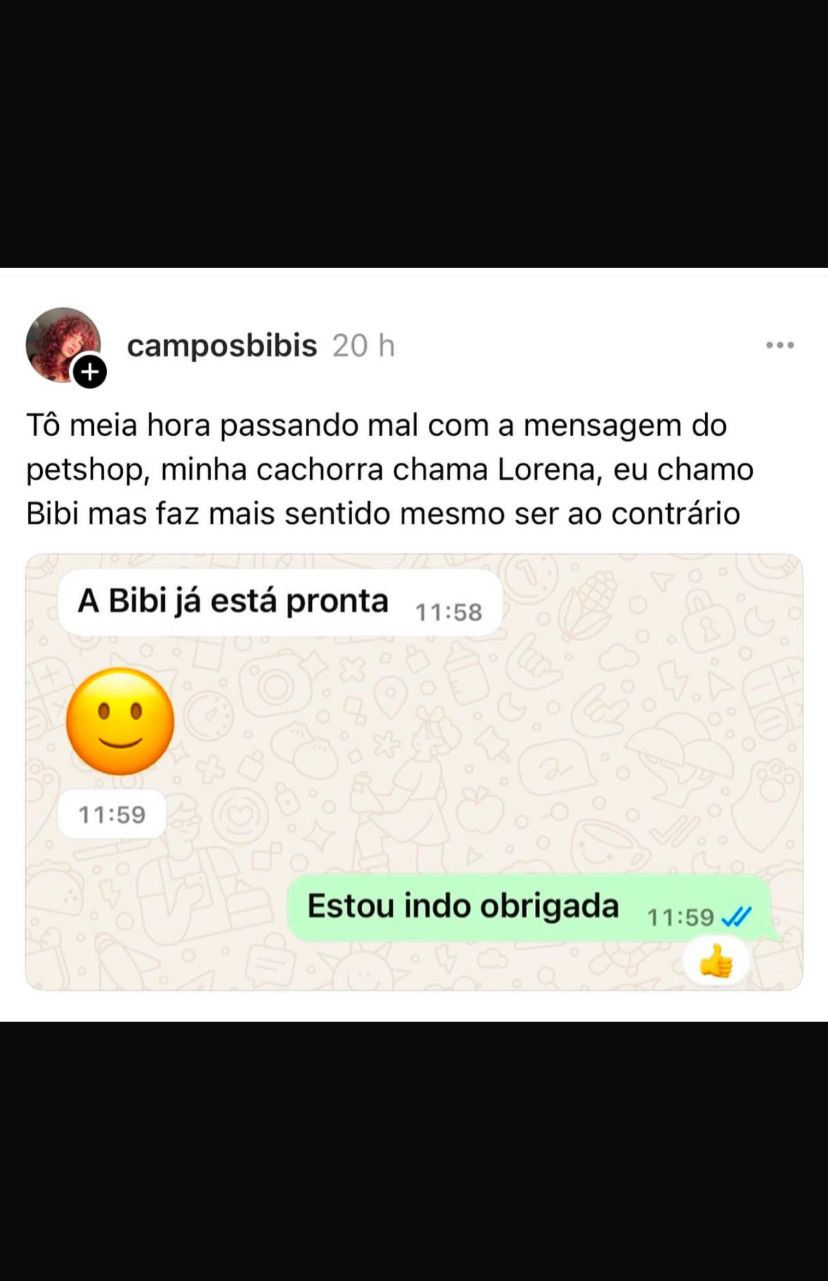 memes do vovô