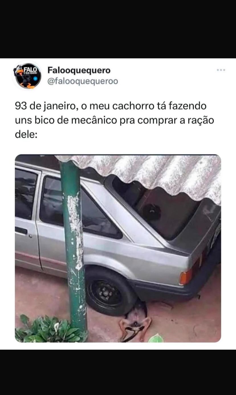 memes do vovô