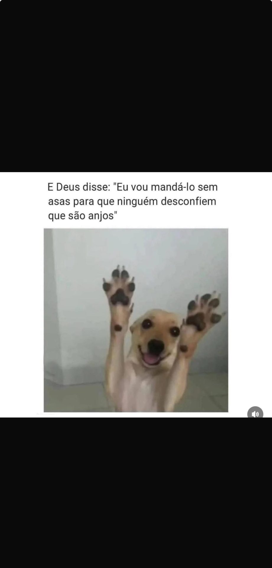 Memes do vovô