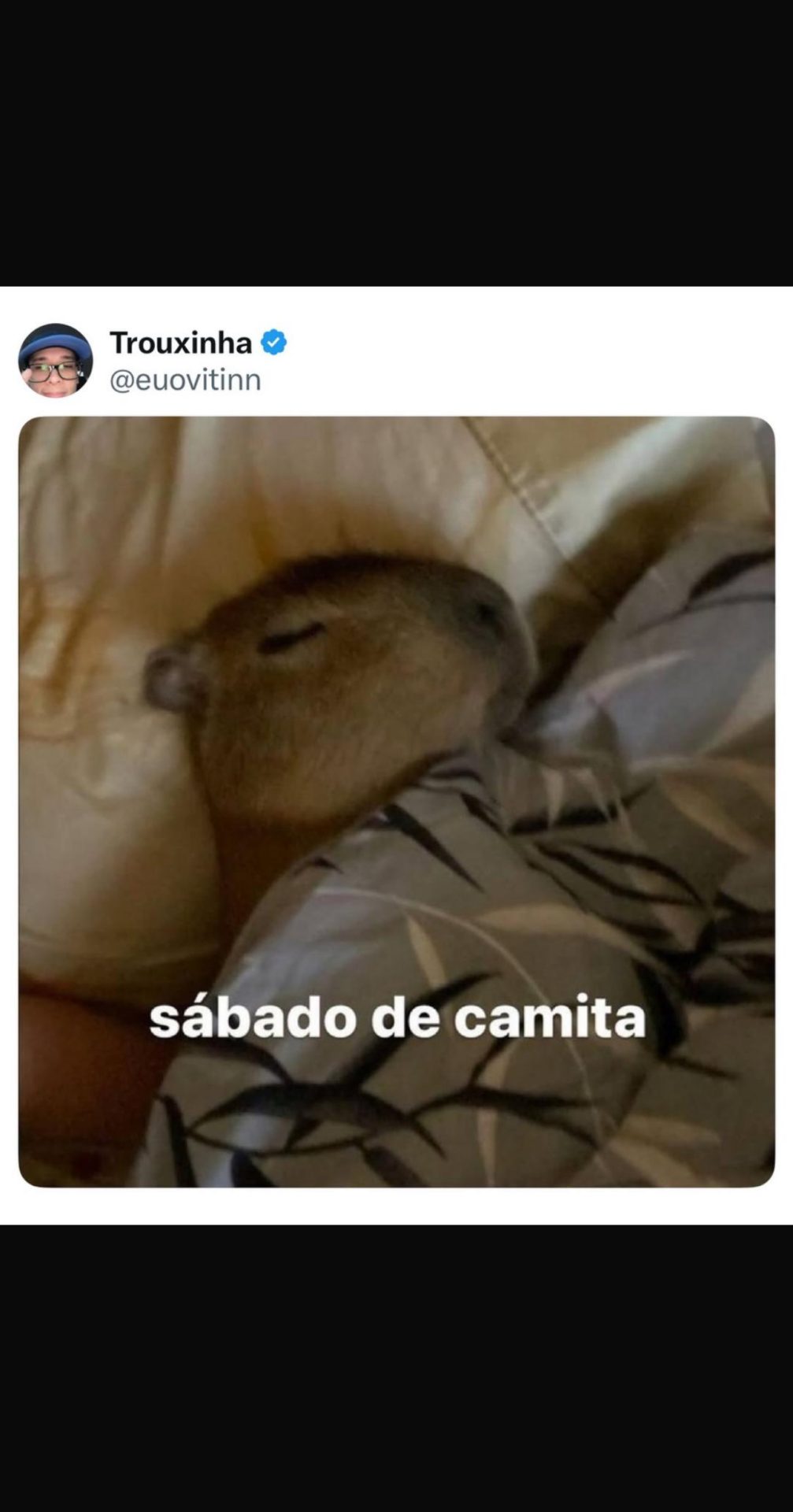 Memes do vovô