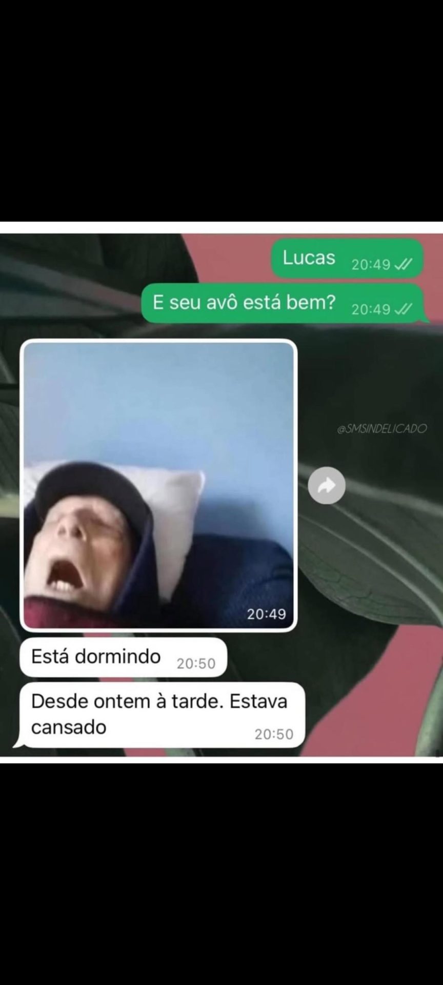 Memes do vovô