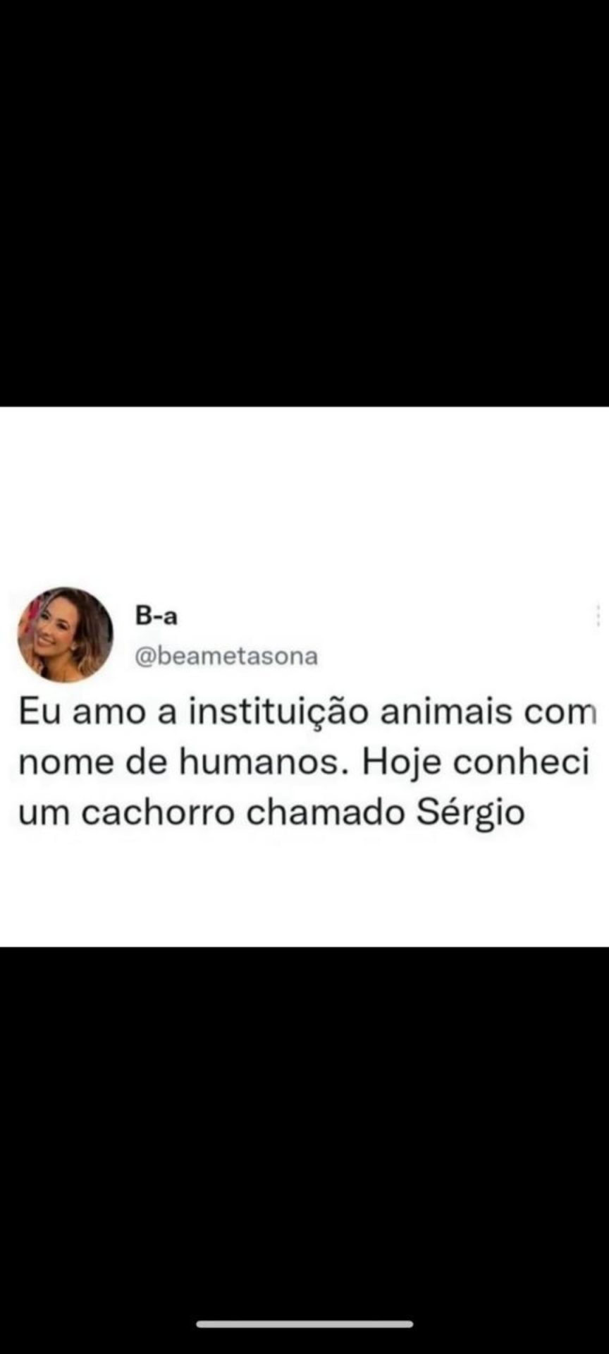 Memes do vovô